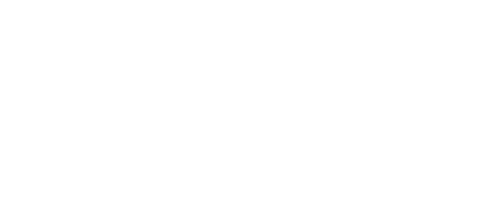 logo-MSS